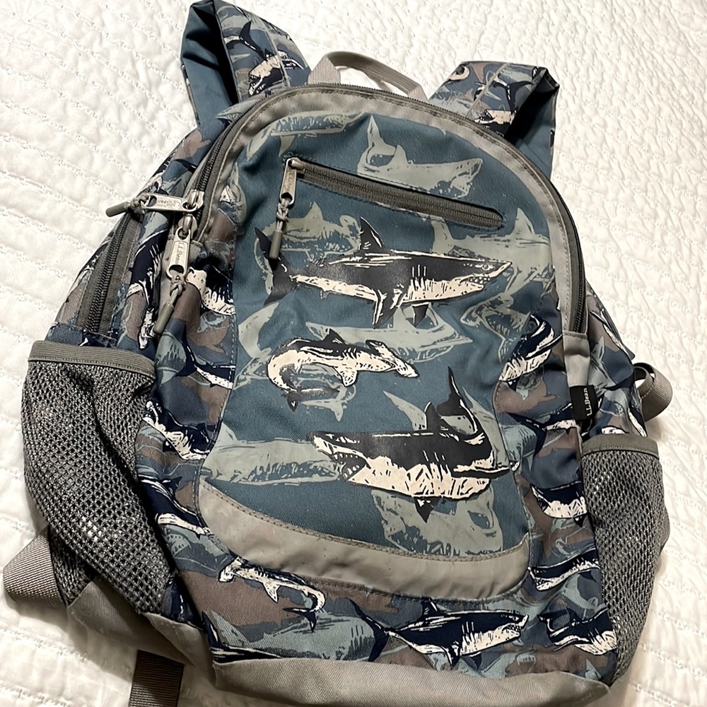 L.L Bean glow in the dark kids backpack